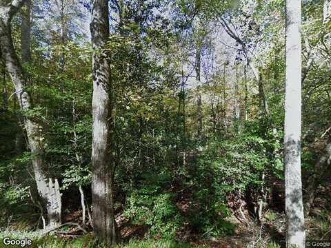 River Refuge, BLAIRSVILLE, GA 30512