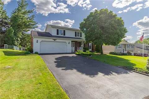 Hill, ALLENTOWN, PA 18103