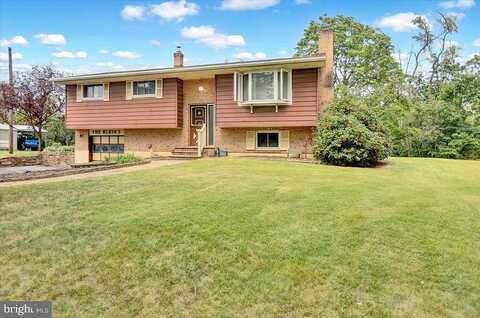 Spruce, BIRDSBORO, PA 19508