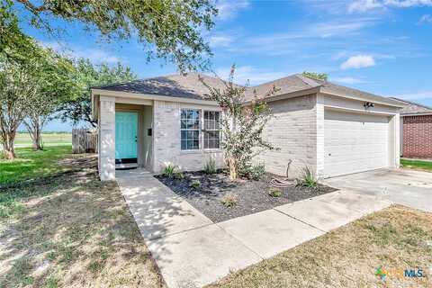 Arabian, VICTORIA, TX 77904