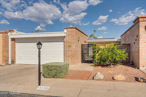 Limberlost, TUCSON, AZ 85705