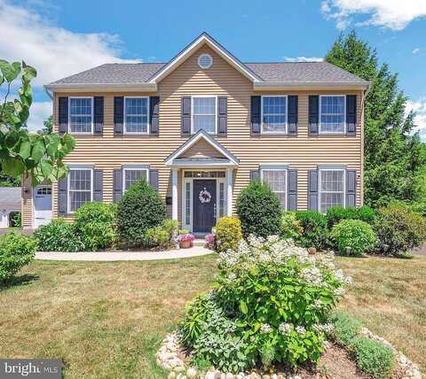Stuart, AMBLER, PA 19002