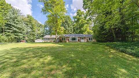 Lilac, ALLENTOWN, PA 18103
