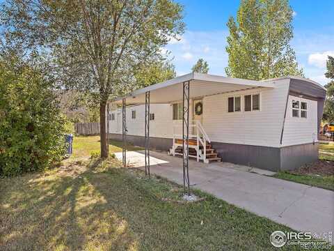 Mango, LOVELAND, CO 80537