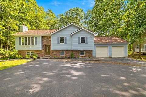 Sassafras, KUNKLETOWN, PA 18058