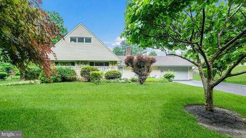 Snowball, LEVITTOWN, PA 19056