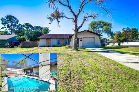 Drysdale, SPRING HILL, FL 34609