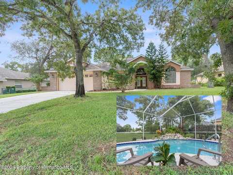 Palmgren, SPRING HILL, FL 34608