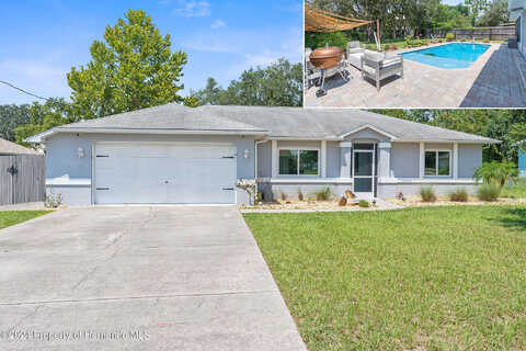 Hawthorne, SPRING HILL, FL 34609