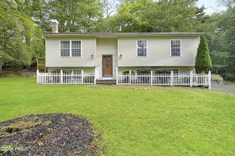 Arbutus, MILFORD, PA 18337