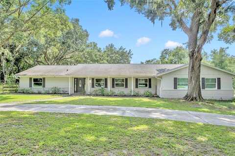 Dyson, WINTER SPRINGS, FL 32708