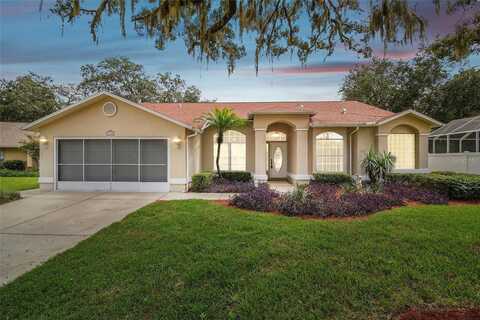Bengal, NEW PORT RICHEY, FL 34654