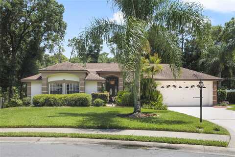 Falling Leaf, DELAND, FL 32724