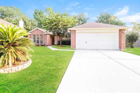 Dillon, MAGNOLIA, TX 77354