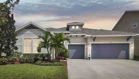 Shadowlake, APOLLO BEACH, FL 33572