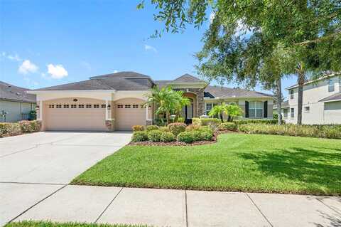 Clouds Peak, LUTZ, FL 33558