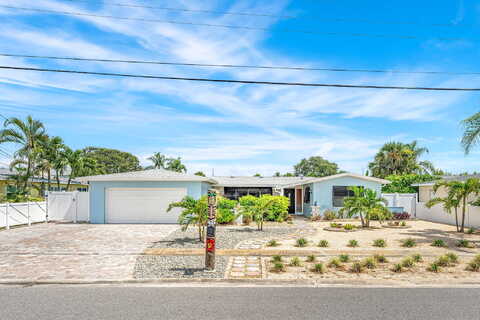 Penguin, SATELLITE BEACH, FL 32937