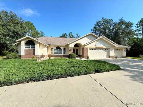 Palomino, BEVERLY HILLS, FL 34465