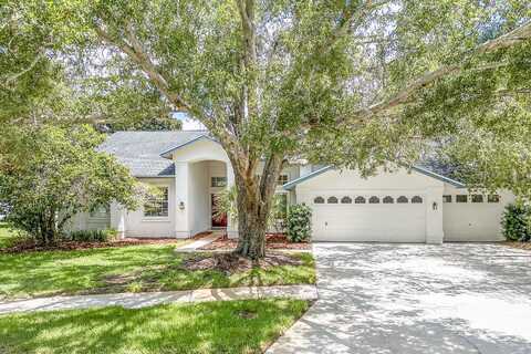 Anderson, CLEARWATER, FL 33761