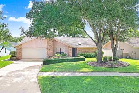 Frisco, CLEARWATER, FL 33761
