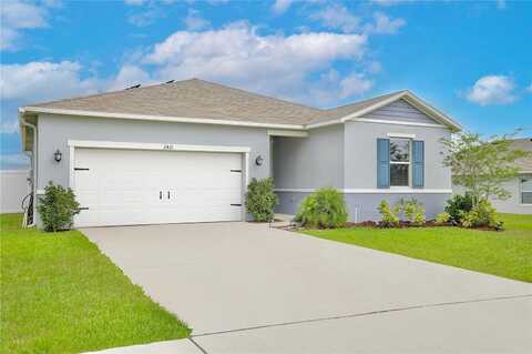 Begonia, MASCOTTE, FL 34753