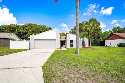Bellaire, LAND O LAKES, FL 34639