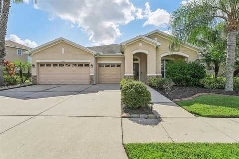 Nesslewood, WESLEY CHAPEL, FL 33543