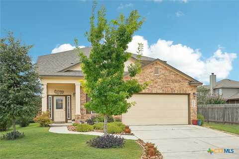 Olive Hill, NEW BRAUNFELS, TX 78130