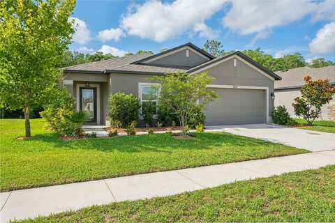 Alfaro, SPRING HILL, FL 34610