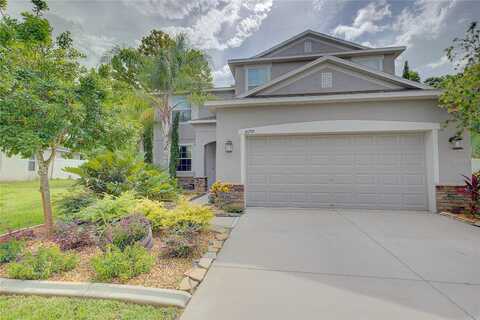 Dobson, HUDSON, FL 34667