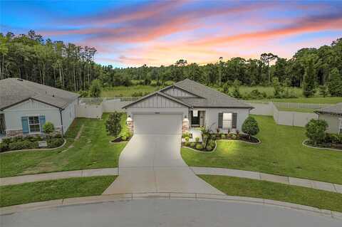 Alfaro, SPRING HILL, FL 34610
