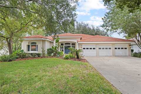 Green Willow, TAMPA, FL 33647
