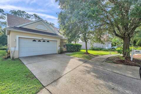 Stags Leap, LUTZ, FL 33559