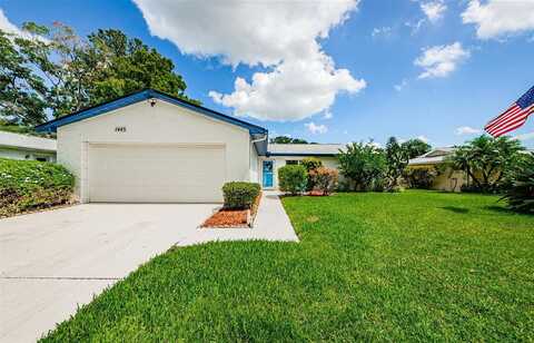 Queen Anne, PALM HARBOR, FL 34684