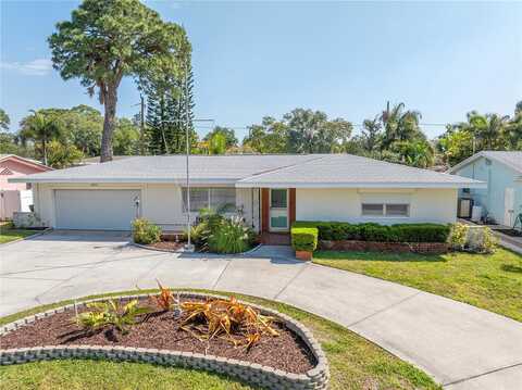 Robin, SAINT PETERSBURG, FL 33707