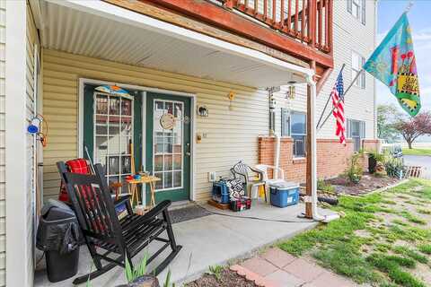 Ox, WOODSTOCK, VA 22664