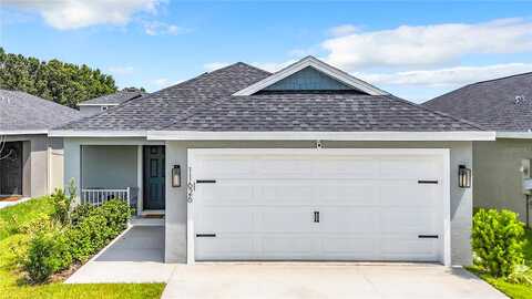 Saw Palmetto, RIVERVIEW, FL 33569