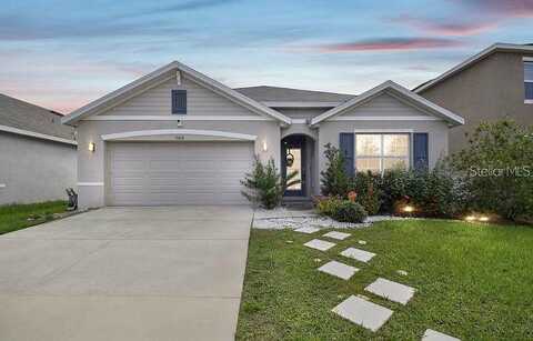 Miracle Mile, RIVERVIEW, FL 33578