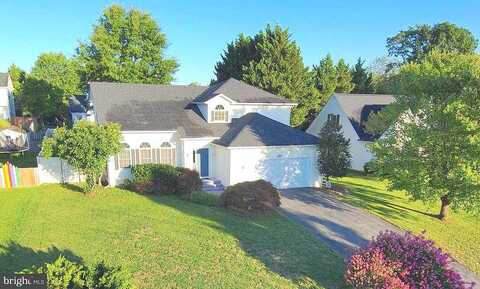 Canyon, WINCHESTER, VA 22602