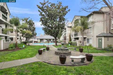 Oak Rd, Walnut Creek, CA 94597