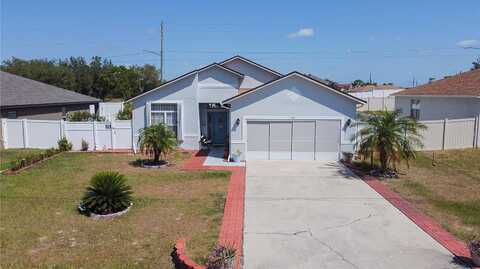 Grouper, KISSIMMEE, FL 34759