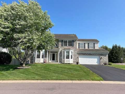 Elderberry, SAINT PAUL, MN 55124
