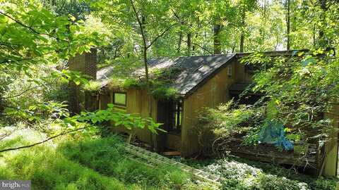 Chestnut, COOPERSBURG, PA 18036