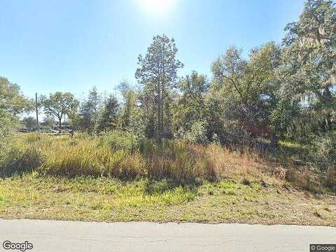 Se 164Th Pl, Summerfield, FL 34491