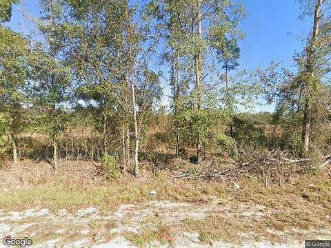 Cecil Nobles Hwy, Ludowici, GA 31316