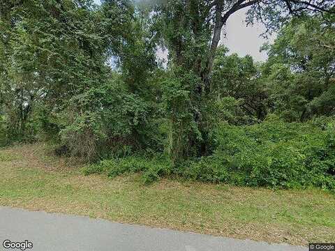 Se 57Th Pl, Ocklawaha, FL 32179