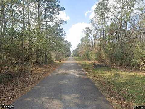 Williams Trail Cir, Willis, TX 77378