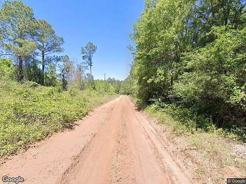 Sunflower, Quitman, GA 31643