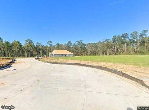 Alpine Paradise Dr, Spring, TX 77373