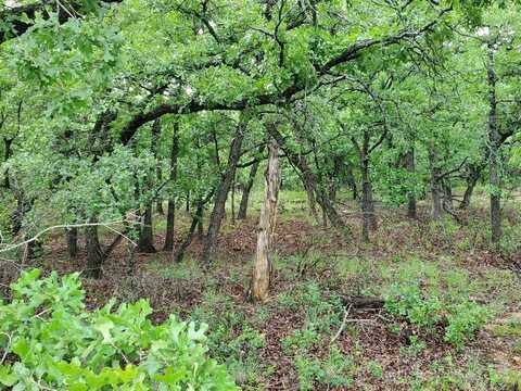 Lot 363 Sunset Lane, Sunset, TX 76270